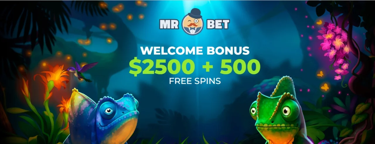 mr bet